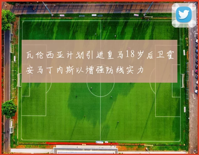 瓦伦西亚计划引进皇马18岁后卫霍安马丁内斯以增强防线实力