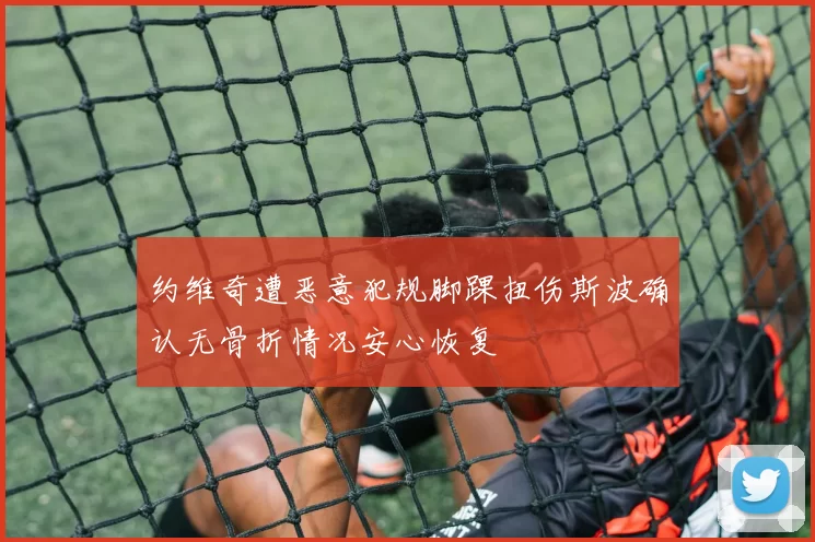 约维奇遭恶意犯规脚踝扭伤斯波确认无骨折情况安心恢复